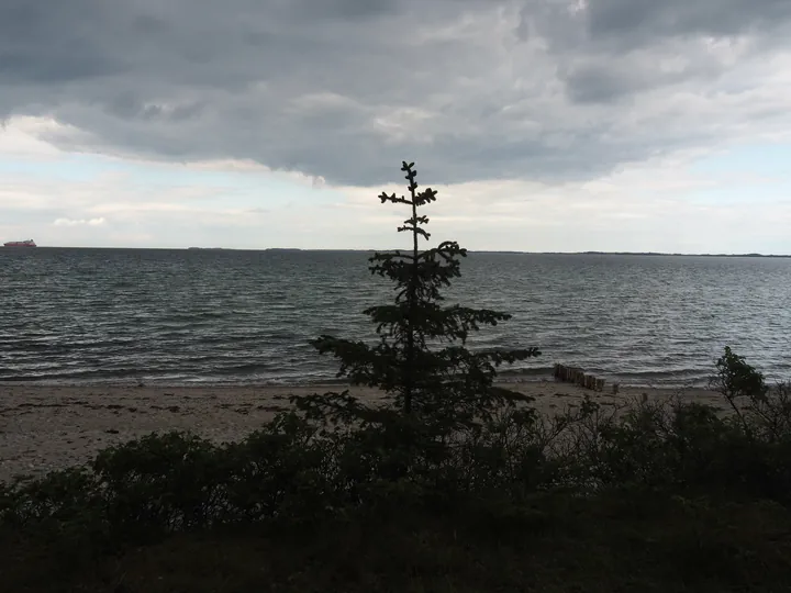 Halshuisene + Enebaerodde Beach (Denemarken)